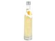 Petit vinaigre à la pulpe de citron - Libeluile -