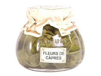 Fleurs de câpres - câpres à tige